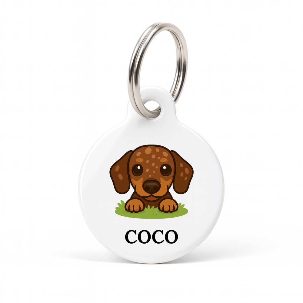 Personalised Dog ID Tag - Chocolate Smooth Dapple Dachshund - Bailey and Coco (UK)