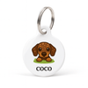 Personalised Dog ID Tag - Chocolate Smooth Dapple Dachshund - Bailey and Coco (UK)