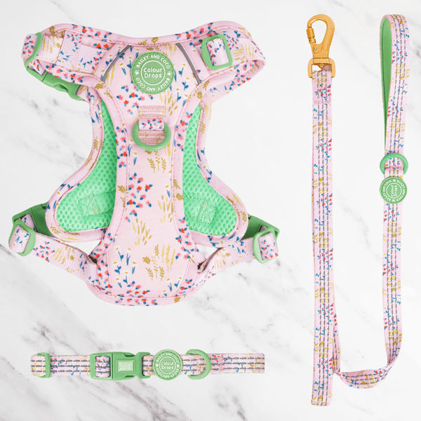 Pick Me Adjustable Dog Harness, Lead & Collar Bundle - Bailey and Coco (UK)