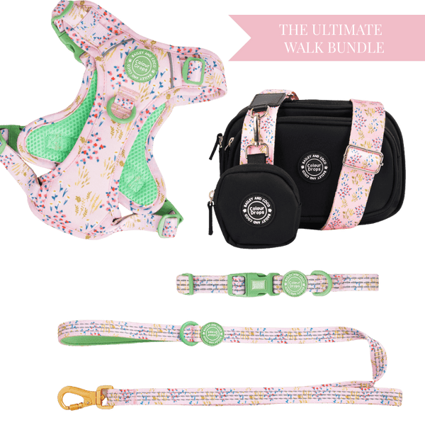 Pick Me Adjustable Dog Harness, Lead, Collar & Dog Walking Bag Bundle - Bailey and Coco (UK)