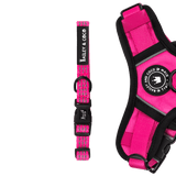 Pink Dog Collar - Trail & Glow® Collar: The Hot Pink One - Bailey and Coco (UK)