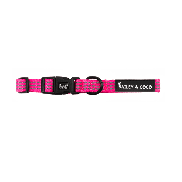 Pink Dog Collar - Trail & Glow® Collar: The Hot Pink One - Bailey and Coco (UK)