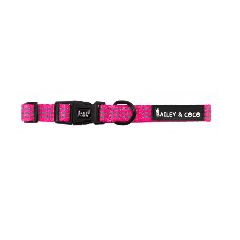 Pink Dog Collar - Trail & Glow® Collar: The Hot Pink One - Bailey and Coco (UK)
