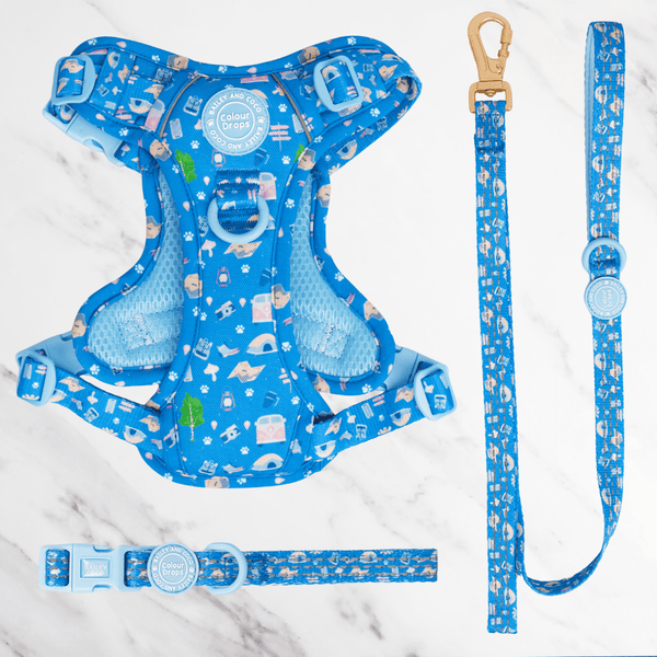 Pitch Please Adjustable Dog Harness, Lead & Collar Bundle - Bailey and Coco (UK)