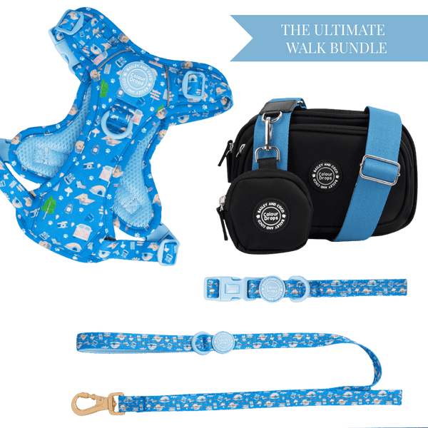 Pitch, Please Adjustable Dog Harness, Lead, Collar & Dog Walking Bag Bundle - Bailey and Coco (UK)