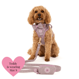 Plum Tweed Adjustable Dog Harness, Lead, Collar & Dog Walking Bag Bundle - Bailey and Coco (UK)
