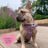 Plum Tweed Adjustable Dog Harness, Lead, Collar & Dog Walking Bag Bundle - Bailey and Coco (UK)