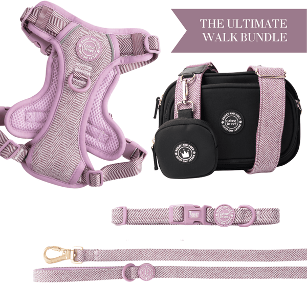 Plum Tweed Adjustable Dog Harness, Lead, Collar & Dog Walking Bag Bundle - Bailey and Coco (UK)