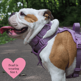 Plum Tweed Adjustable Dog Harness, Lead, Collar & Dog Walking Bag Bundle - Bailey and Coco (UK)