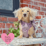 Plum Tweed Adjustable Dog Harness, Lead, Collar & Dog Walking Bag Bundle - Bailey and Coco (UK)