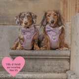Plum Tweed Adjustable Dog Harness, Lead, Collar & Dog Walking Bag Bundle - Bailey and Coco (UK)