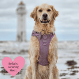 Plum Tweed Adjustable Dog Harness, Lead, Collar & Dog Walking Bag Bundle - Bailey and Coco (UK)