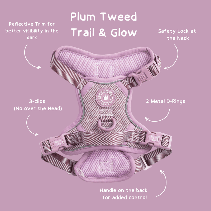 Plum Tweed Adjustable Dog Harness, Lead, Collar & Dog Walking Bag Bundle - Bailey and Coco (UK)