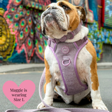 Plum Tweed Adjustable Dog Harness, Lead, Collar & Dog Walking Bag Bundle - Bailey and Coco (UK)