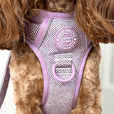 Plum Tweed Adjustable Dog Harness, Lead, Collar & Dog Walking Bag Bundle - Bailey and Coco (UK)