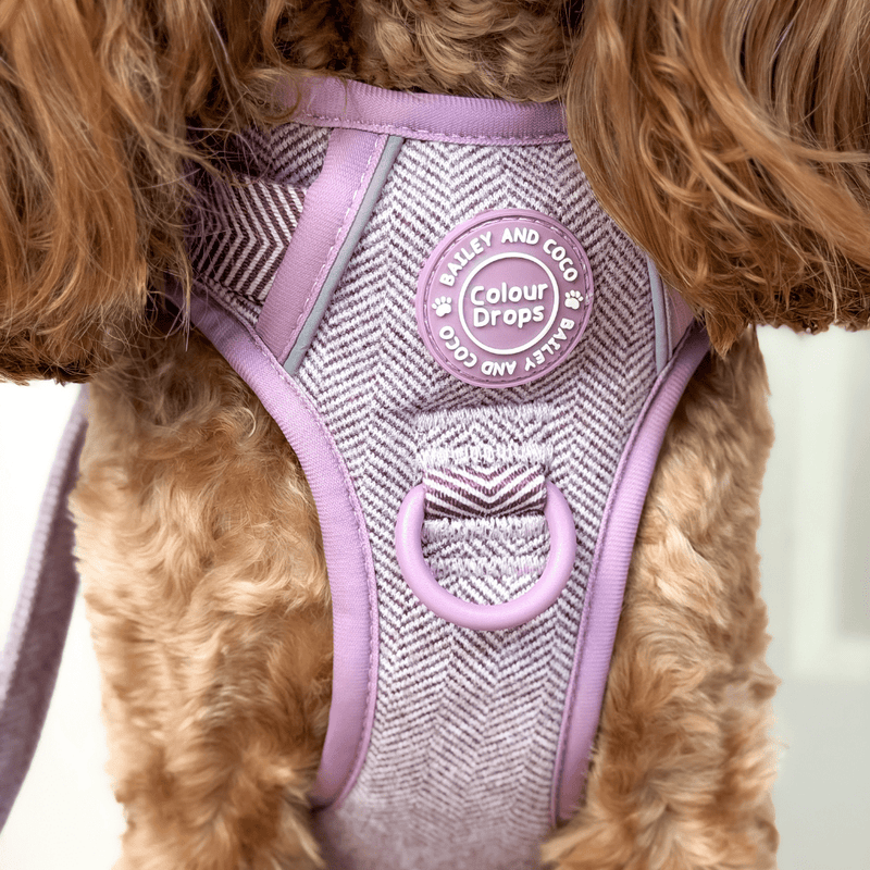 Plum Tweed Adjustable Dog Harness, Lead, Collar & Dog Walking Bag Bundle - Bailey and Coco (UK)