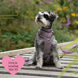 Plum Tweed Adjustable Dog Harness, Lead, Collar & Dog Walking Bag Bundle - Bailey and Coco (UK)