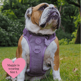 Plum Tweed Adjustable Dog Harness, Lead, Collar & Dog Walking Bag Bundle - Bailey and Coco (UK)