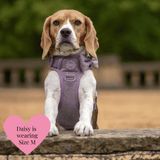 Plum Tweed Adjustable Dog Harness, Lead, Collar & Dog Walking Bag Bundle - Bailey and Coco (UK)