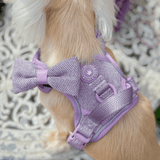 Plum Tweed Adjustable Dog Harness, Lead, Collar & Dog Walking Bag Bundle - Bailey and Coco (UK)