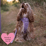 Plum Tweed Trail & Glow Dog Harness, Lead & Collar Bundle - Bailey and Coco (UK)