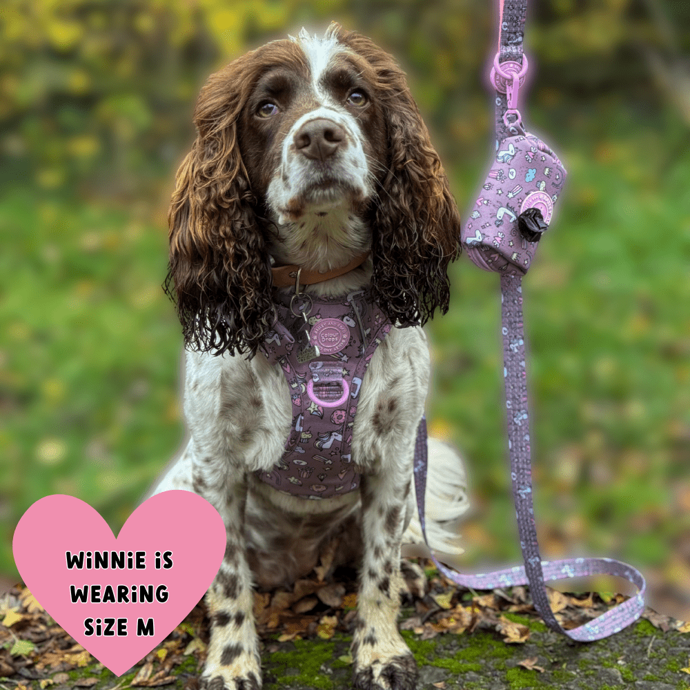 Poo Bag Holder - Colour Drops - Be Unique Unicorn - Bailey and Coco (UK)