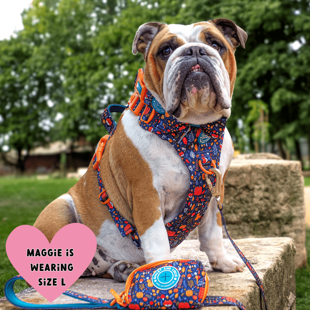 Poo Bag Holder - COLOUR DROPS® - Bewitched - Bailey and Coco (UK)