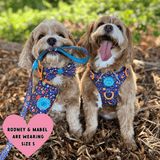Poo Bag Holder - COLOUR DROPS® - Bewitched - Bailey and Coco (UK)