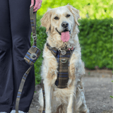 Poo Bag Holder - Colour Drops - Mayfair Tweed - Bailey and Coco (UK)
