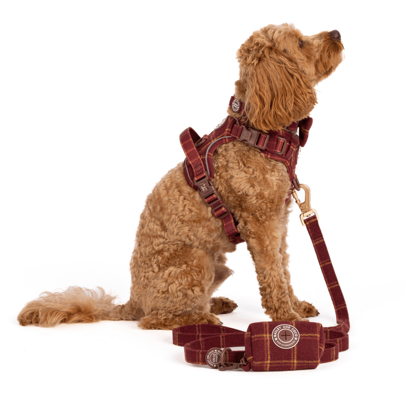 Poo Bag Holder - Colour Drops - Mulberry Plaid - Bailey and Coco (UK)