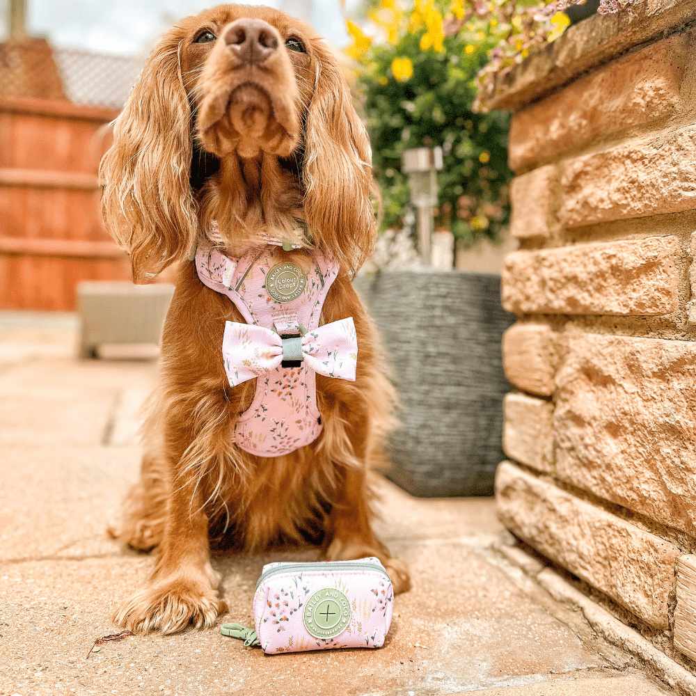 Poo Bag Holder - COLOUR DROPS® - Pick Me - Bailey and Coco (UK)