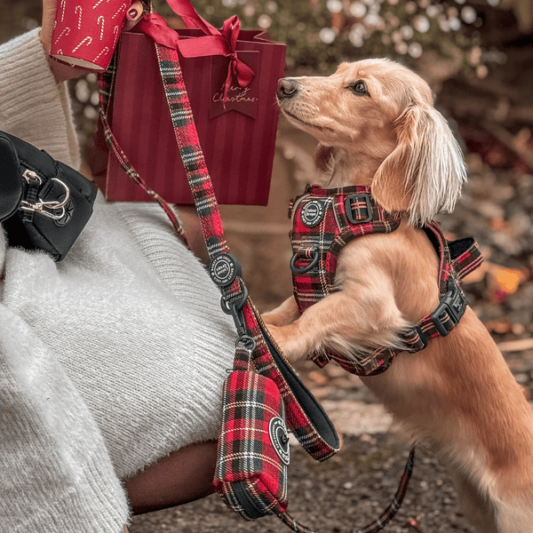 Poo Bag Holder - Colour Drops - Red Highland Tartan - Bailey and Coco (UK)
