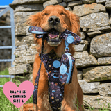 Poo Bag Holder - COLOUR DROPS® - Space Paws - Bailey and Coco (UK)
