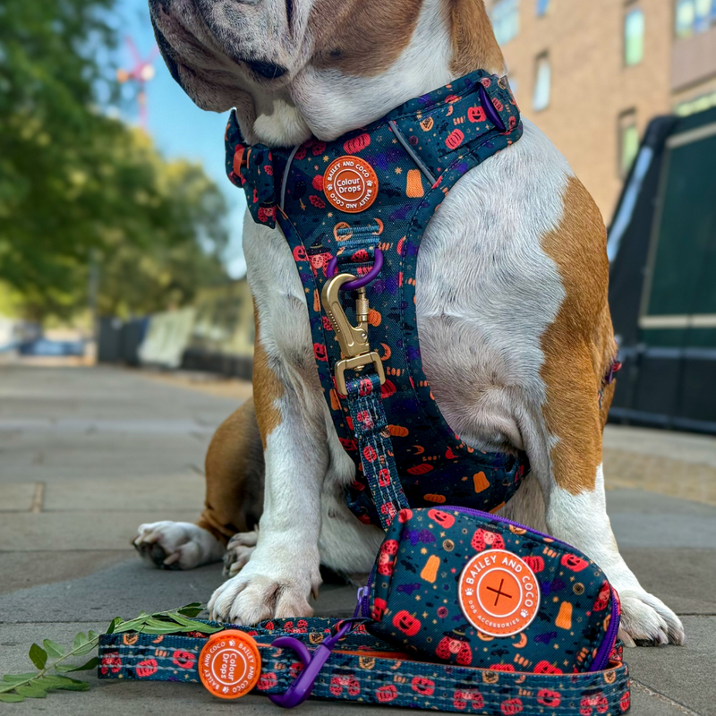 Poo Bag Holder - Colour Drops - Spellbound Autumn - Bailey and Coco (UK)