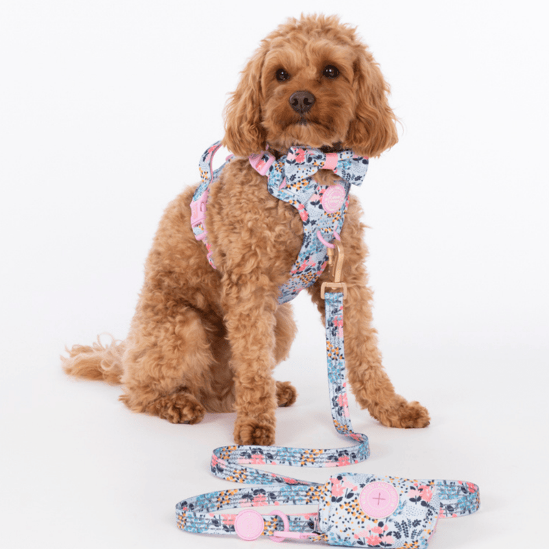Poo Bag Holder - Colour Drops - Spring Dreams - Bailey and Coco (UK)