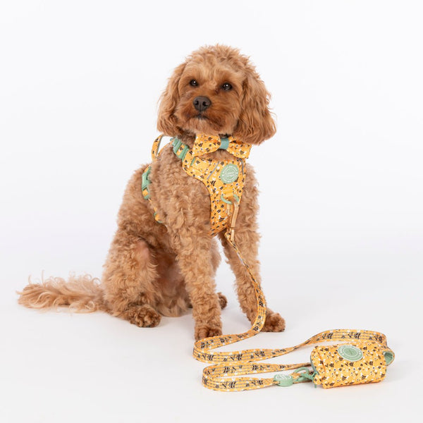 Poo Bag Holder - Colour Drops - Wanna - Bee - Bailey and Coco (UK)