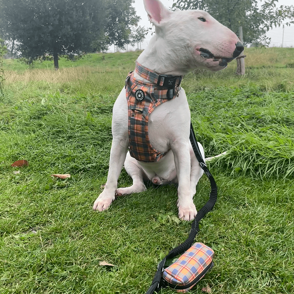 Poo Bag Holder - Rustic Tartan - Bailey and Coco (UK)