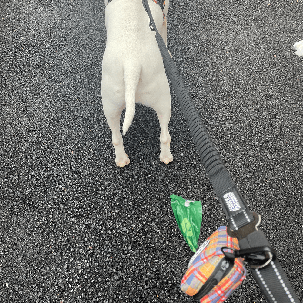 Poo Bag Holder - Rustic Tartan - Bailey and Coco (UK)