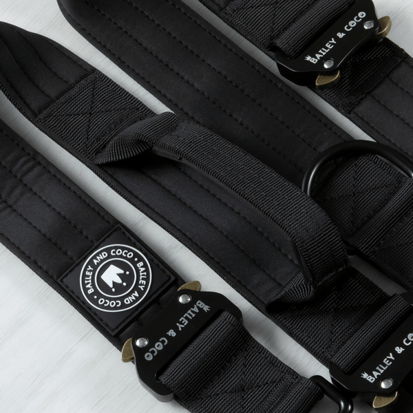 Premium Power Trails® Heavy-Duty Dog Lead 2M - All Black - alternate view