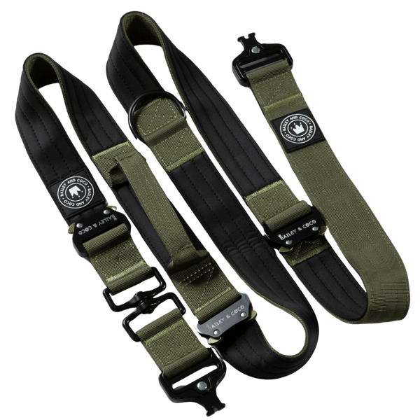 Premium Power Trails® Heavy - Duty Dog Lead 2M - All Khaki - Bailey and Coco (UK)