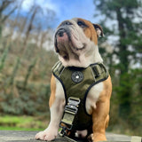 Premium Power Trails® Heavy - Duty Dog Lead 2M - All Khaki - Bailey and Coco (UK)