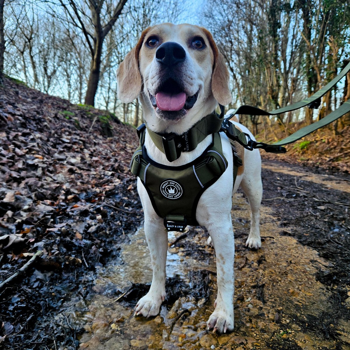 Premium Power Trails® Heavy - Duty Dog Lead 2M - All Khaki - Bailey and Coco (UK)