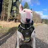 Premium Power Trails® Heavy - Duty Dog Lead 2M - All Khaki - Bailey and Coco (UK)