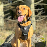 Premium Power Trails® Heavy - Duty Utility Dog Harness - All Black - Bailey and Coco (UK)