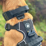 Premium Power Trails® Heavy - Duty Utility Dog Harness - All Black - Bailey and Coco (UK)