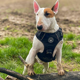 Premium Power Trails® Heavy - Duty Utility Dog Harness - All Black - Bailey and Coco (UK)
