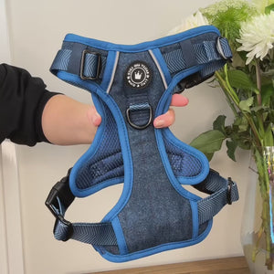 Trail & Glow Tweed Dog Harness - Sapphire Tweed