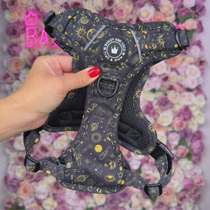 Trail & Glow® Dog Harness - Celestial