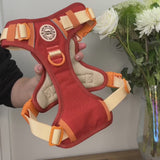 Trail & Glow® Dog Harness - COLOUR DROPS® - Spice it up