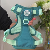 Trail & Glow Dog Harness - COLOUR DROPS® - Ice Teal